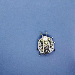Iridescent beetle's attak