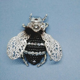 Black silver fly