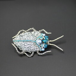 Silver-blue bug