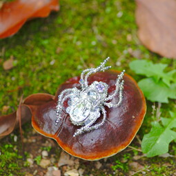 Осенний кристальный паук
